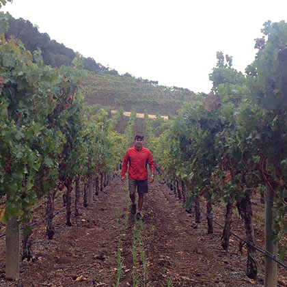 Winemaker Daniel LeFrancois in the vineyard