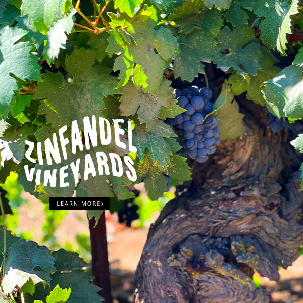 California Zinfandel wine regions