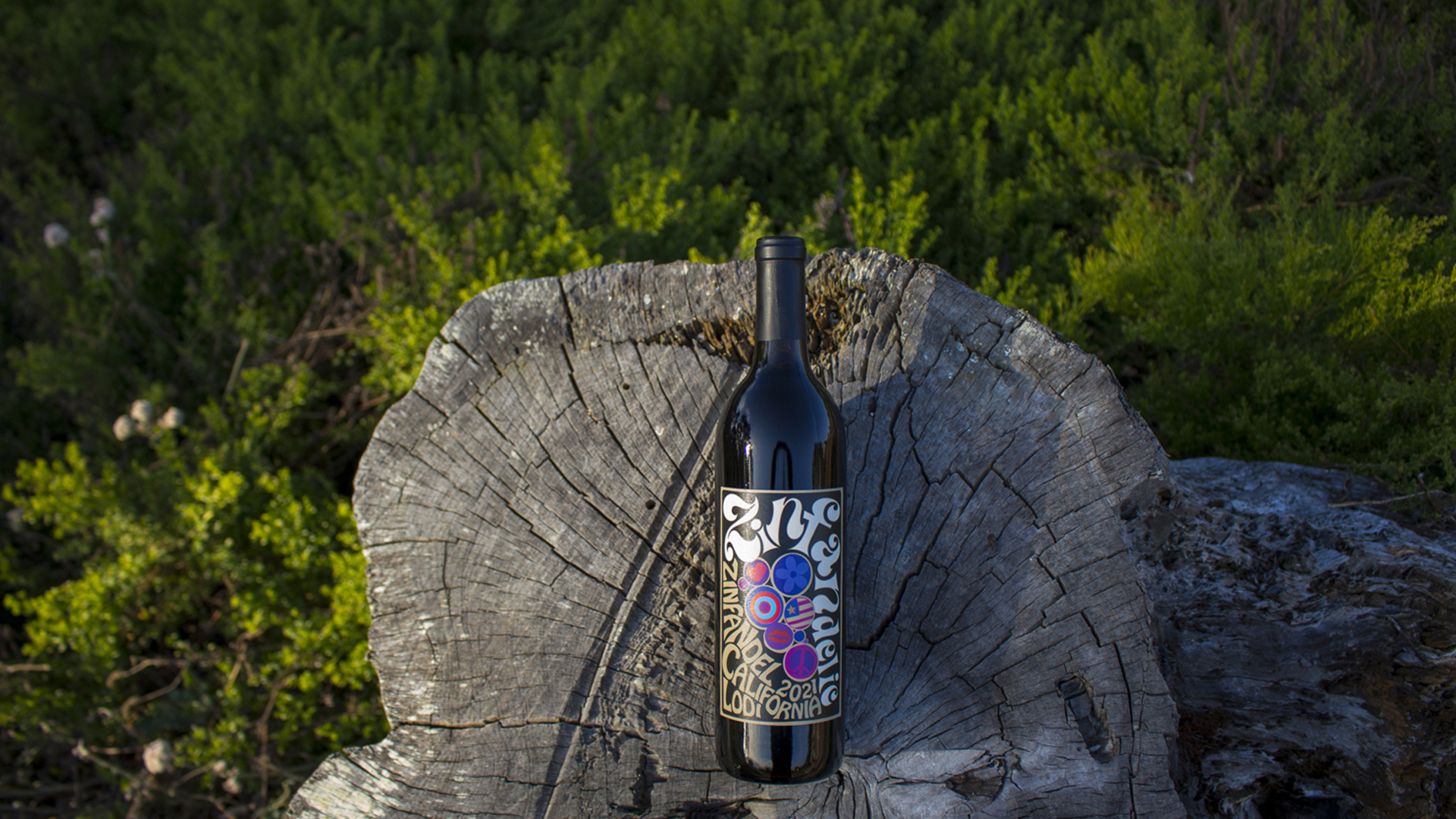 Zinfandel